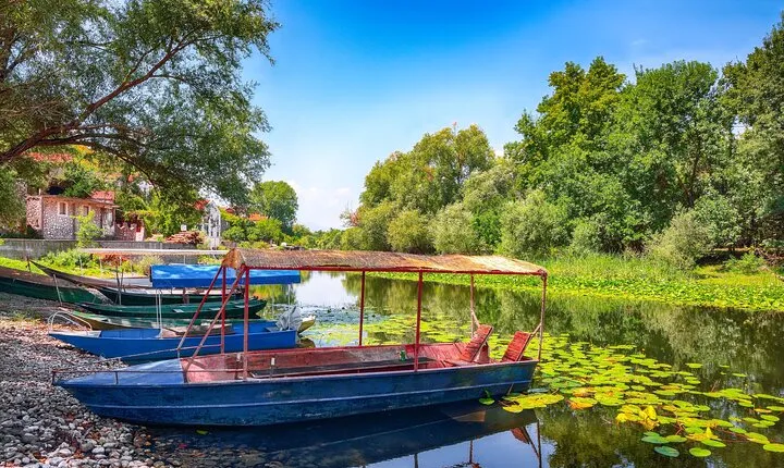 From Petrovac or Budva: Skadar Lake Cruise with Lunch