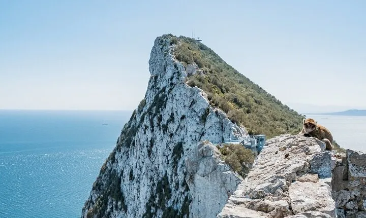 From Malaga, Gibraltar excursion with transport