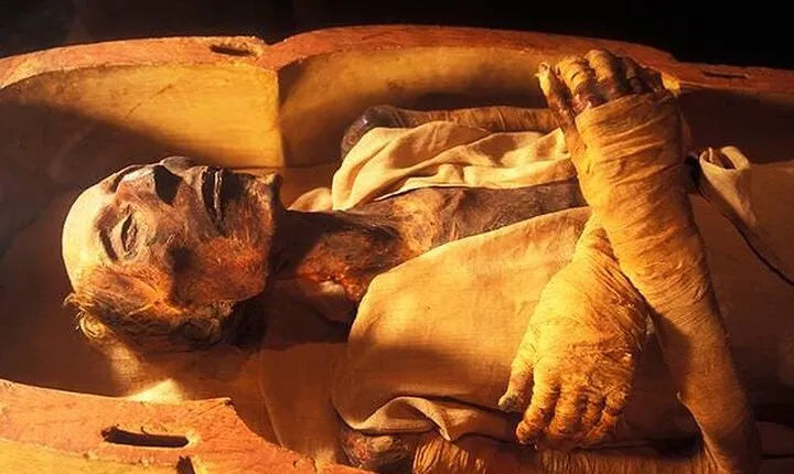  New Civilization Museum Tour (Royal Mummies)