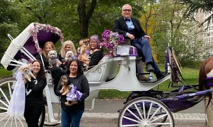 NYC Central Park Horse and Carriage Ride: Long Ride 45 min