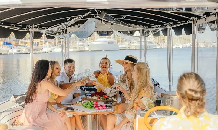 Luxury Shared E-Boat Cruise with Wine, Charcuterie & Sea Lions Spotting