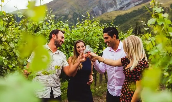 Award Winning Premium Wine Tour Queenstown Tasting at 4 Wineries