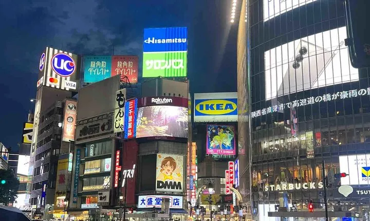 Tokyo Customizable Private Tour with Private Driver