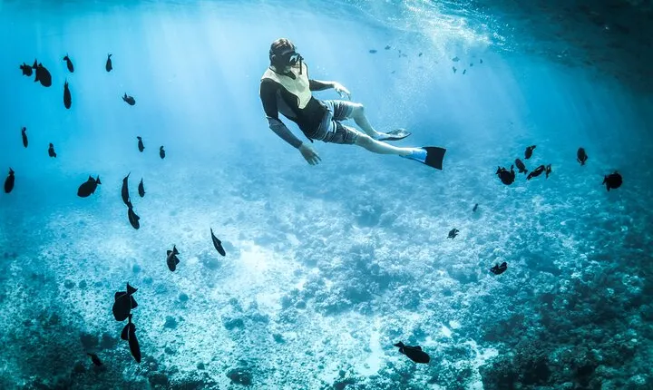 3-Hr Private Snorkeling and Dolphin Watching Tour at Muscat