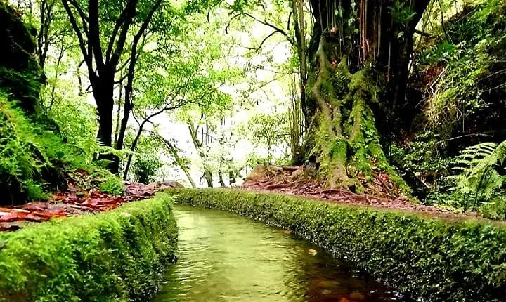 Kings Levada - São Jorge
