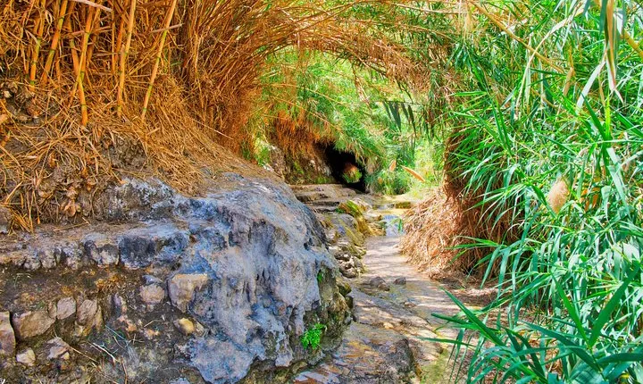 Ein Gedi and Masada Day Trip from Eilat