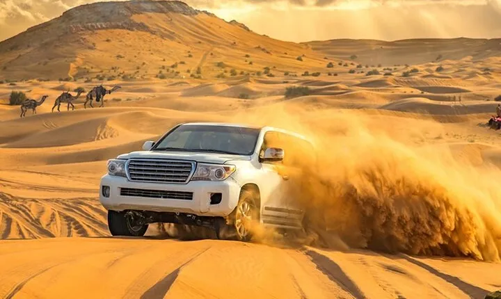 Morning Desert Safari Dubai: Dune Bashing,Sand Boarding,Camel Ride