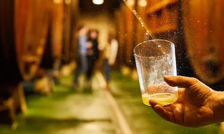 "Basque Cider House" guided tour + meal from San Sebastian