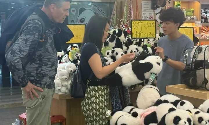 Half Day Chengdu Panda Souvenir Shopping Tour with Dessert