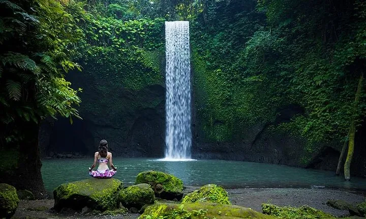 Ubud Waterfall, Rice Terraces and Monkey Forest Private Tour