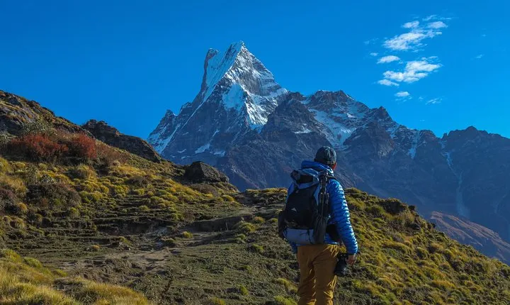 Mardi Trek