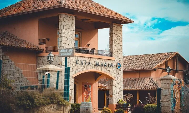 Private San Antonio, Visit Casa Marín Winery & Transfer to Hotel