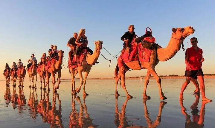 Sunset Camel Ride With Barbeque - Aagdir