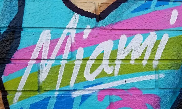 Wynwood Neighborhood Art Walk Self-Guided Tour of Murals
