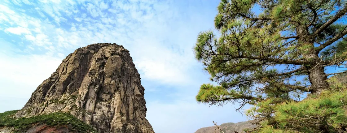 La Gomera Tour with Garajonay Forest and San Sebastian