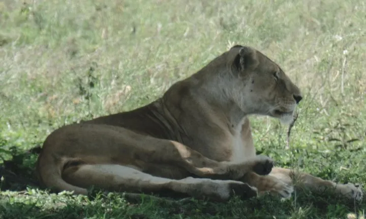 6 Days North Circuit Adventure – Luxury