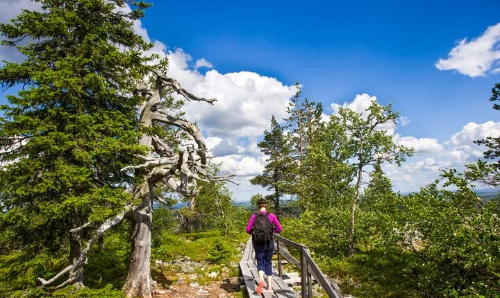 Rovaniemi: Korouoma Canyon & Waterfalls Tour with BBQ