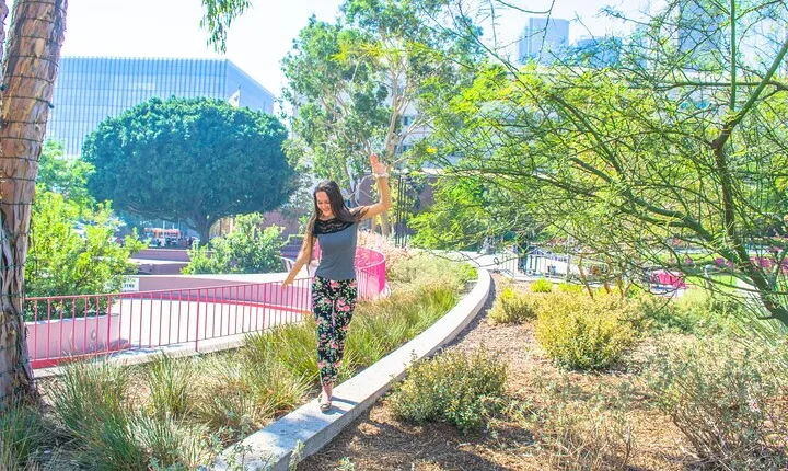 Hollywood, Celebrity Homes, Film Locations and Sunset Strip Tour in Los Angeles