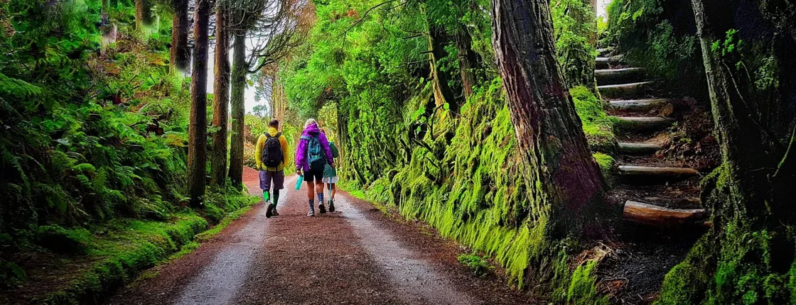 Sete Cidades Full-Day Hiking Experience
