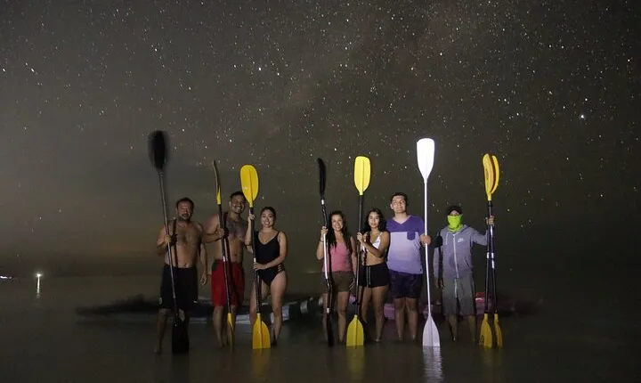 Magic Night of Stargazing and Bioluminescence