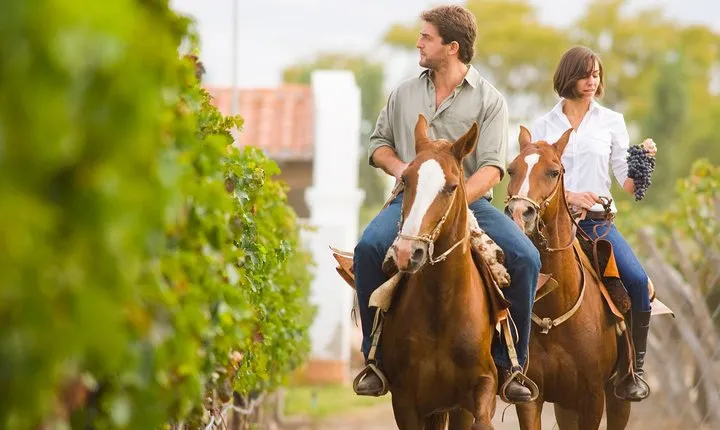 OT Tuscany Horseback Riding Adventure with lunch in a Winery of San Gimignano from Florence