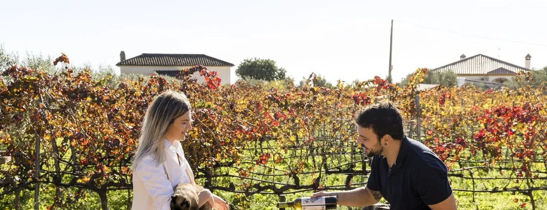 Half-day winery tour with wine tasting and tapas
