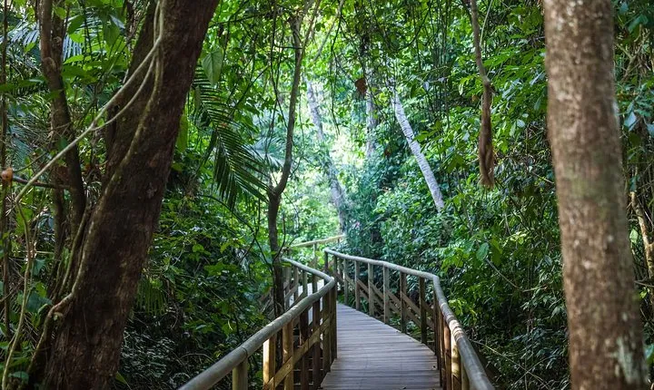 Full day hiking with wild life watching at Manuel Antonio Park from San Jose