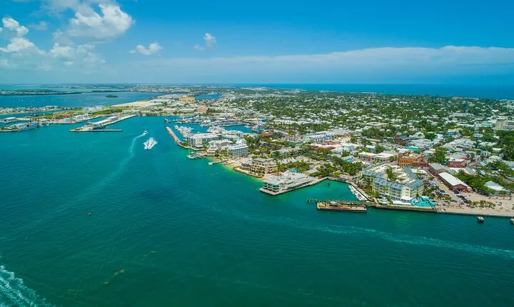 Vitamin Sea Dolphin Safari: Private Key West Charter