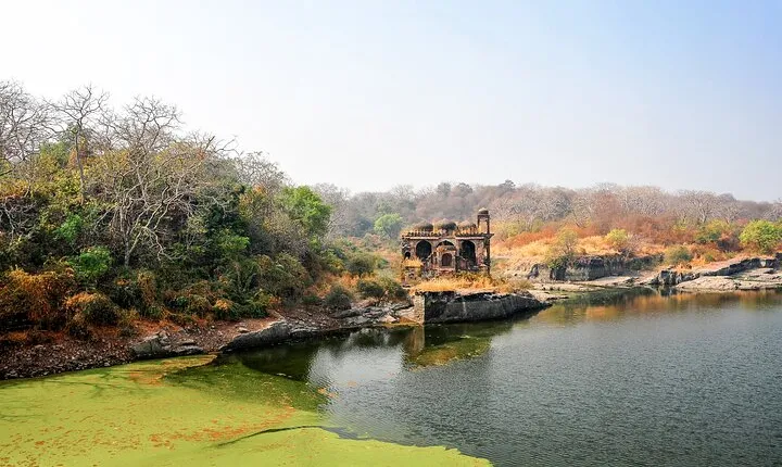 Half Day Private Trekking Tour to the Ranthambore Fort