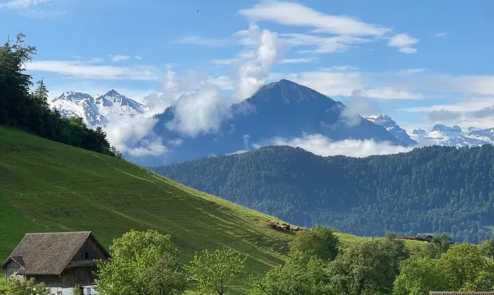 Private Tour to Authentic Lake in Lucerne