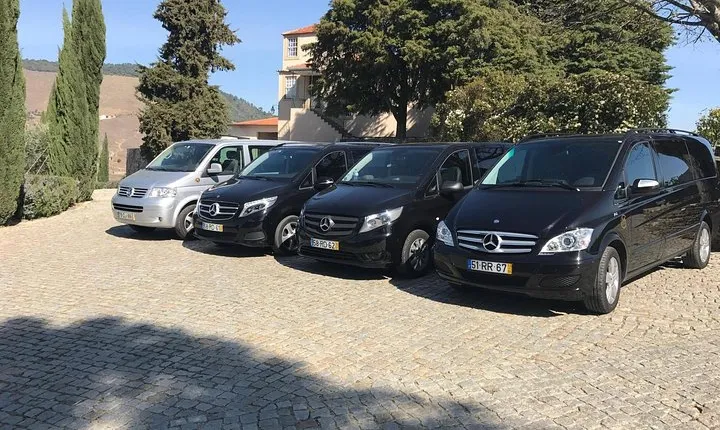 Transfer from Porto to the Douro Valley