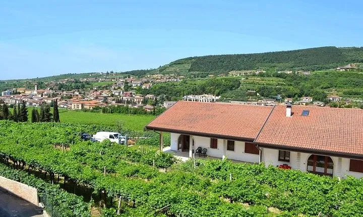 Valpolicella - The wine paradise