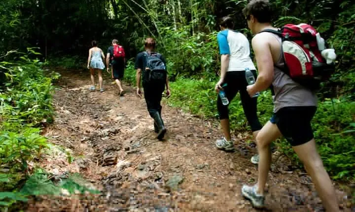 Khao Sok National Park Hiking and Bamboo Raft Tour From Khao Lak
