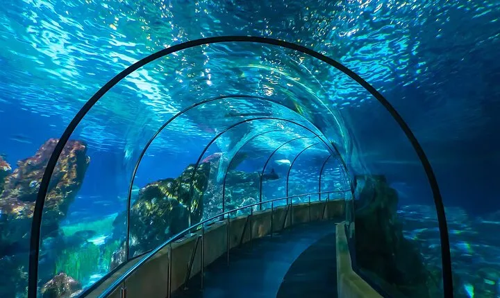 Discover Barcelona Aquarium and Culture