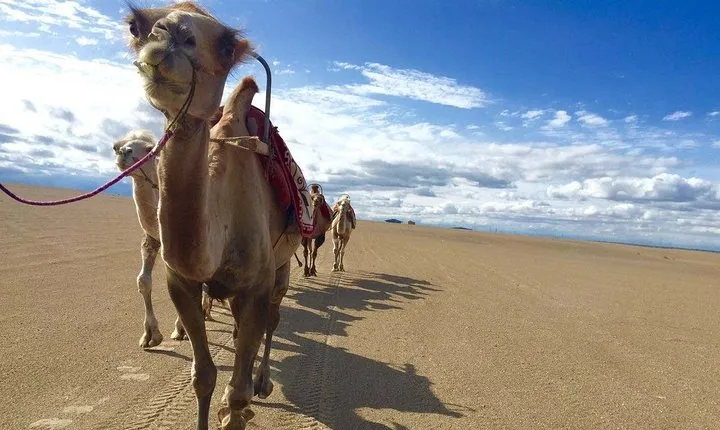 4-Day Dunhuang Tour through the Silk Road