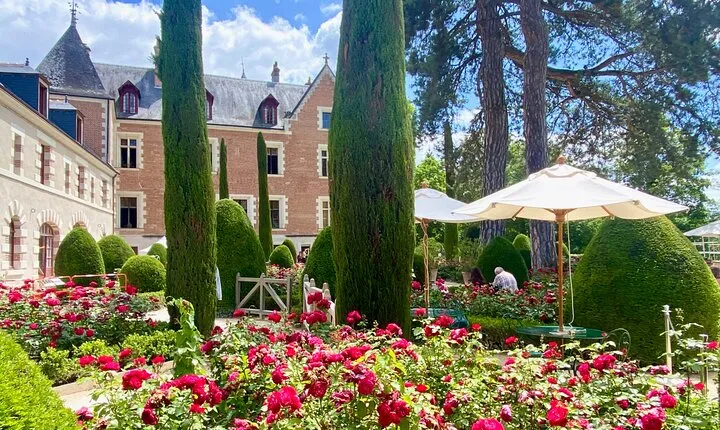 2 day Da Vinci Castles & Chablis 4 Domains 20 Wines Small Group15