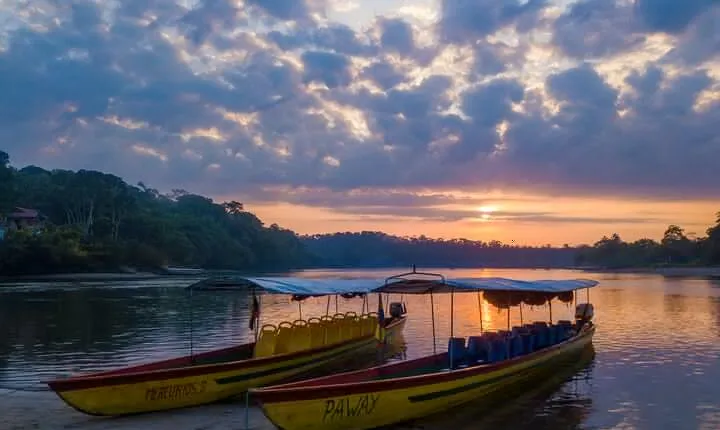 Tropical Escape: 3 Days Amazon Rainforest Tour from Quito