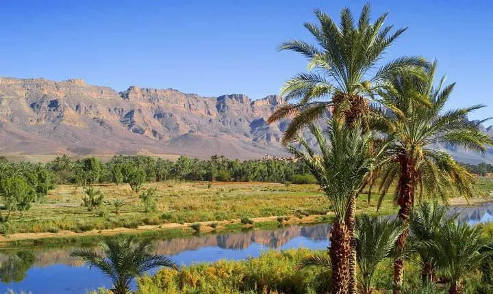 Desert Odyssey: A 2-Day Journey from Marrakech to Zagora