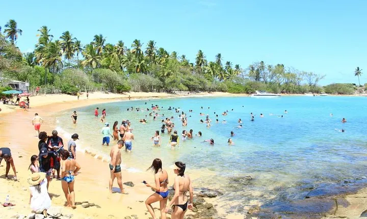 Santo Aleixo Island Tour from Maragogi by Top Tours