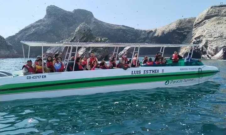 2-Hour Tour to the Ballestas Islands from Puerto San Martín