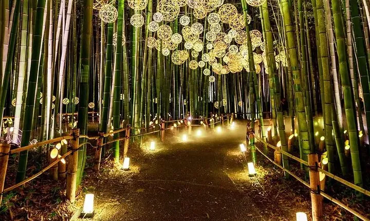 Explore Kyoto | Private Tour - Local English Driver(guide option)