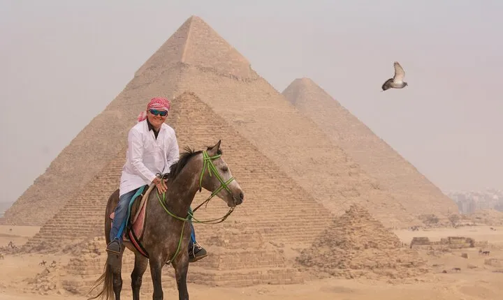 Horse or Camel Ride in Giza Pyramids