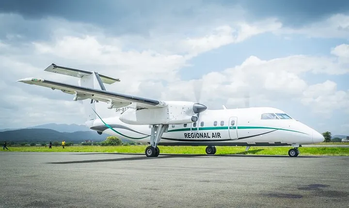 4 Day Fly-In Serengeti Safari and Scenic Drive-Out Adventure 