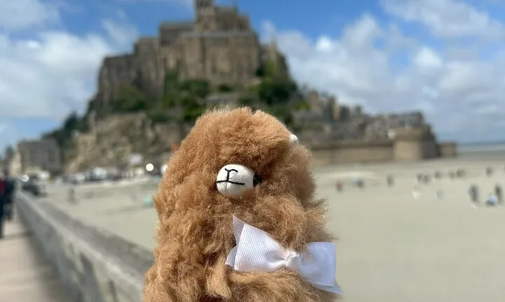 Small Group Mont Saint Michel and D-Day tour by Mini-van