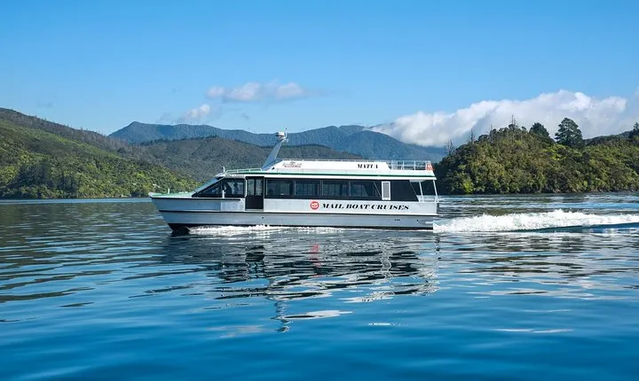Half-Day Cruise in Marlborough Sounds from Picton