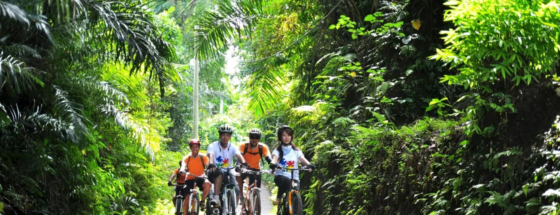 Ubud countryside cycling tour