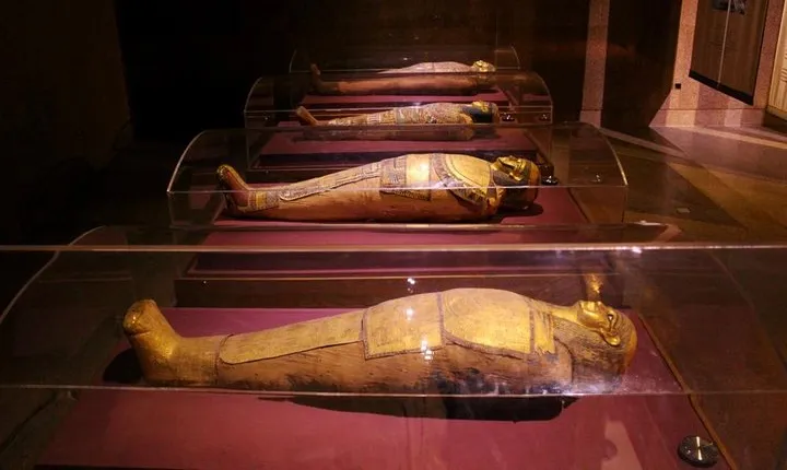 Kalabsha Temple and Nubian Museum Tour