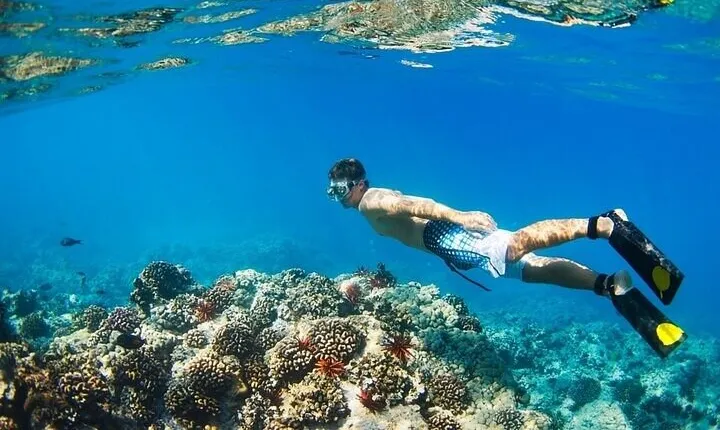 Coral Garden Snorkeling Sea Trip Experience & Lunch - Marsa Alam