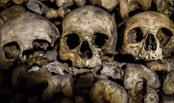 Skip-the-Line: Paris Catacombs Tour with VIP Access to Restricted Areas