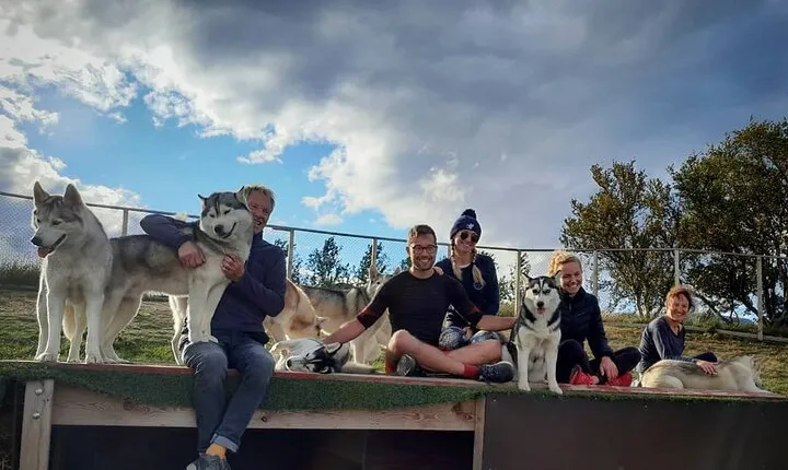 Husky Petting in Akureyri (private)